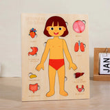 Montessori Puzzles Busy Board Human Body Teaching Learning Body Parts For Children Early Education Games Toddlers Quiet Books