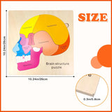 Montessori Puzzles Busy Board Human Body Teaching Learning Body Parts For Children Early Education Games Toddlers Quiet Books