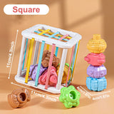 Montessori Shape Sorting Blocks – Sensory Learning Toy for Babies