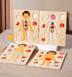 Montessori Puzzles Busy Board Human Body Teaching Learning Body Parts For Children Early Education Games Toddlers Quiet Books