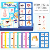 Montessori Busy Book with Stickers – My First Learning Activity Book