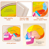 Montessori Puzzles Busy Board Human Body Teaching Learning Body Parts For Children Early Education Games Toddlers Quiet Books