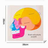 Montessori Puzzles Busy Board Human Body Teaching Learning Body Parts For Children Early Education Games Toddlers Quiet Books