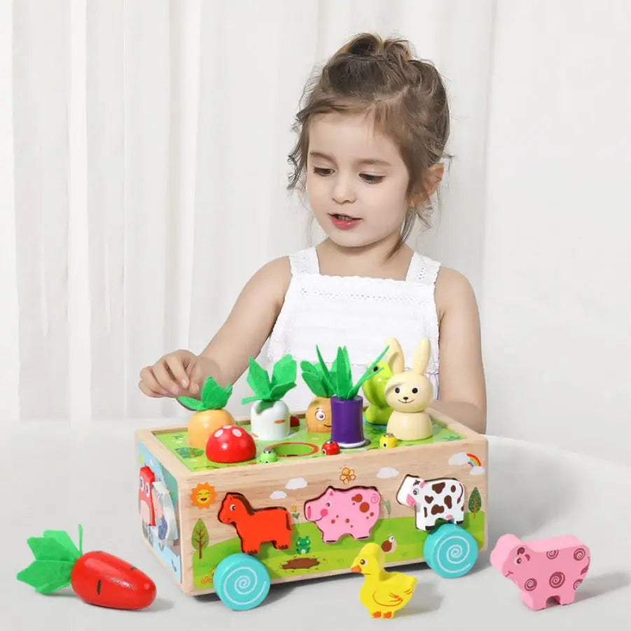 Montessori Wooden Shape Sorter Toy – Animal Matching & Learning Game for Toddlers