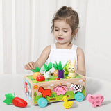 Montessori Wooden Shape Sorter Toy – Animal Matching & Learning Game for Toddlers