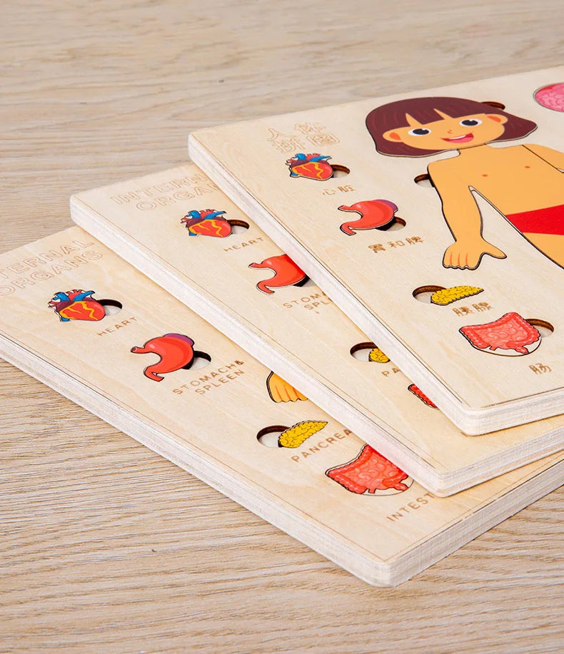 Montessori Puzzles Busy Board Human Body Teaching Learning Body Parts For Children Early Education Games Toddlers Quiet Books