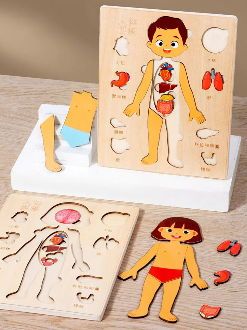 Montessori Puzzles Busy Board Human Body Teaching Learning Body Parts For Children Early Education Games Toddlers Quiet Books