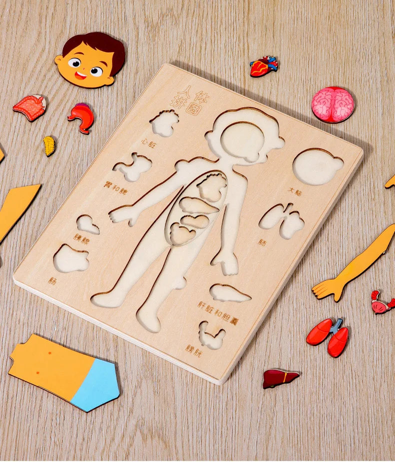 Montessori Puzzles Busy Board Human Body Teaching Learning Body Parts For Children Early Education Games Toddlers Quiet Books