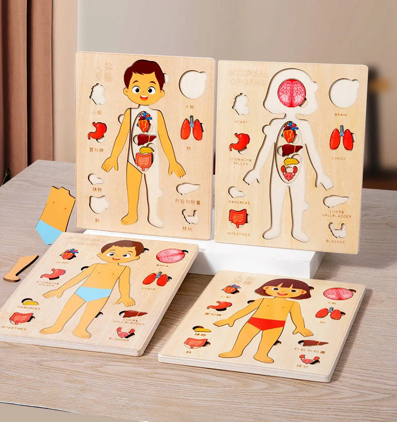 Montessori Puzzles Busy Board Human Body Teaching Learning Body Parts For Children Early Education Games Toddlers Quiet Books