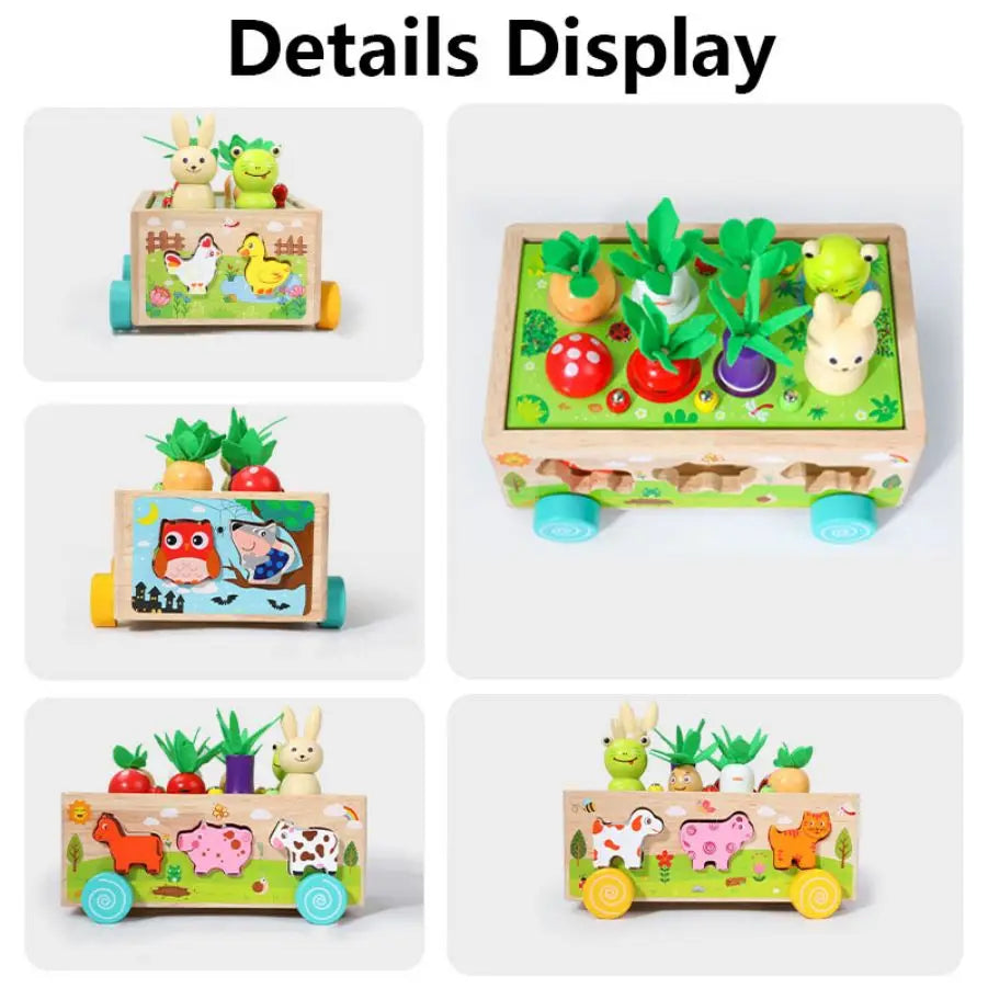 Montessori Wooden Shape Sorter Toy – Animal Matching & Learning Game for Toddlers
