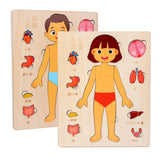 Montessori Puzzles Busy Board Human Body Teaching Learning Body Parts For Children Early Education Games Toddlers Quiet Books