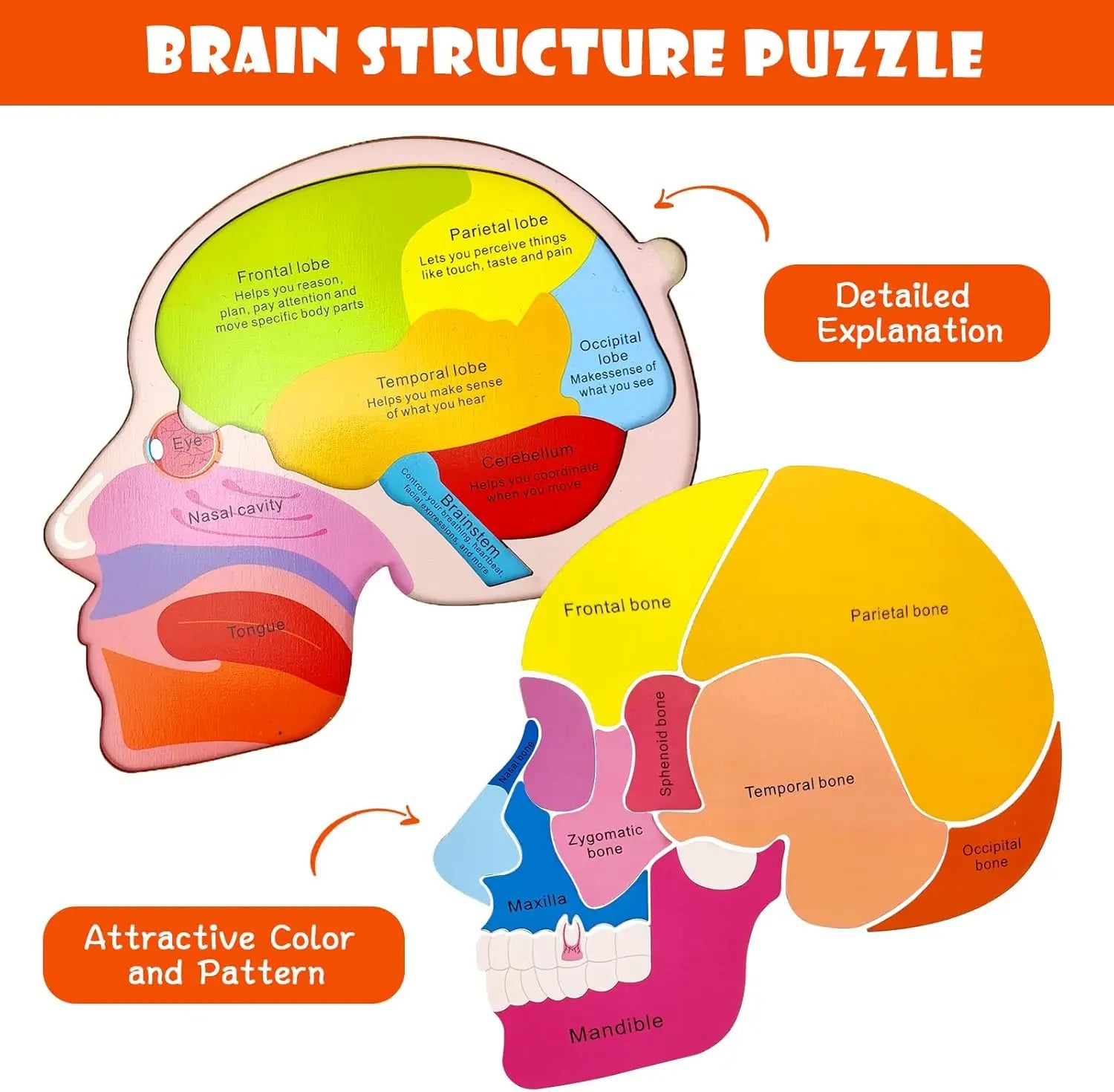 Montessori Puzzles Busy Board Human Body Teaching Learning Body Parts For Children Early Education Games Toddlers Quiet Books